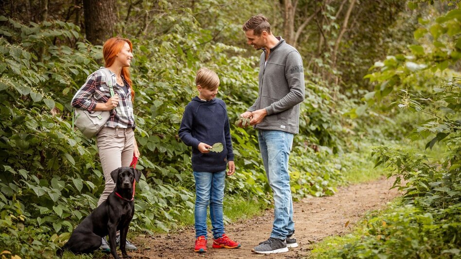 Hiking Route Short recreation and family hiking trail - Touren-Impression #2.4 | © Südsteiermark