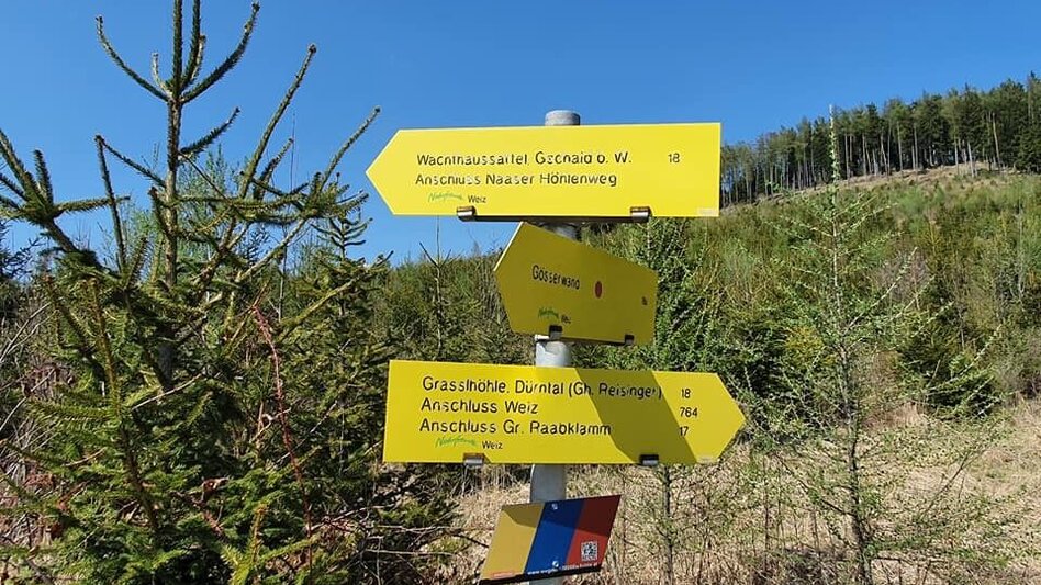 Hiking Route Saddle Mountains Tour from the Gösser to the Wolf Saddle - Touren-Impression #2.1 | © Oststeiermark Tourismus