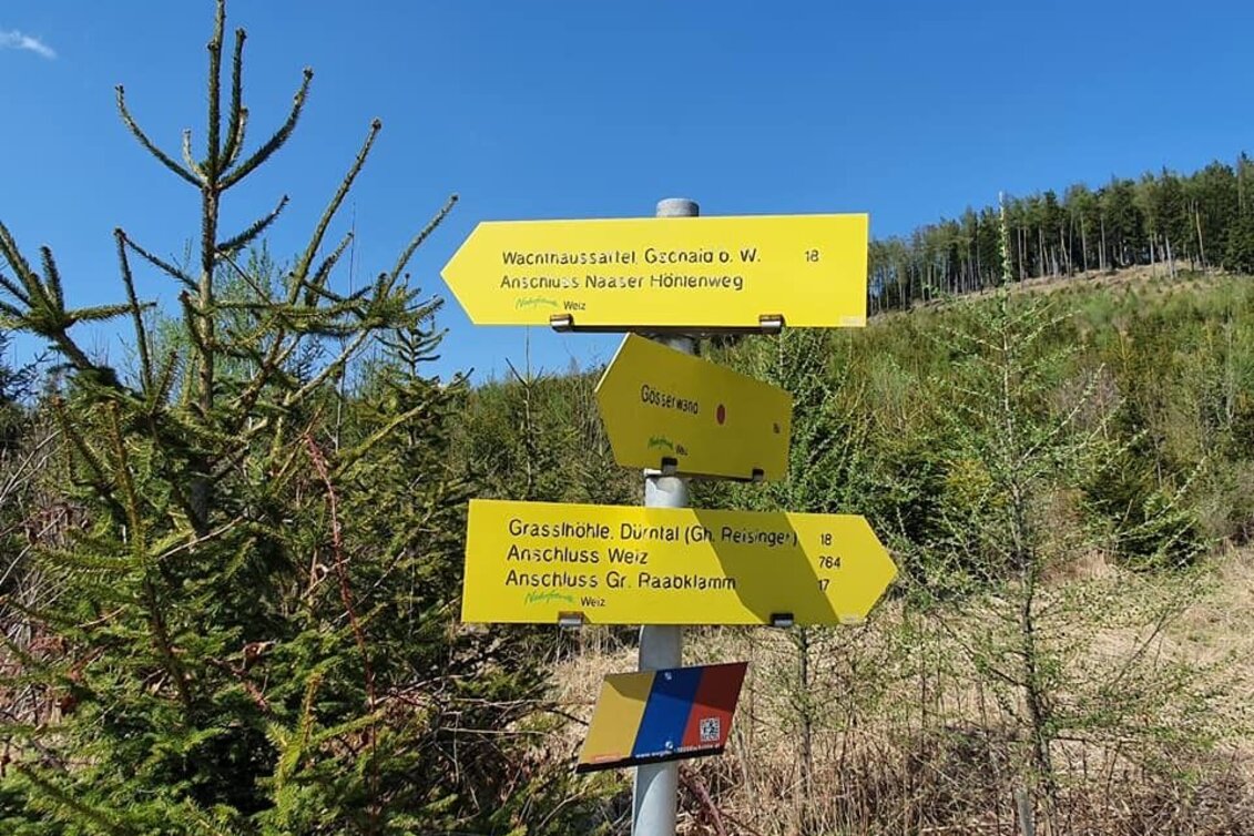 Hiking Route Saddle Mountains Tour from the Gösser to the Wolf Saddle - Touren-Impression #1 | © Oststeiermark Tourismus