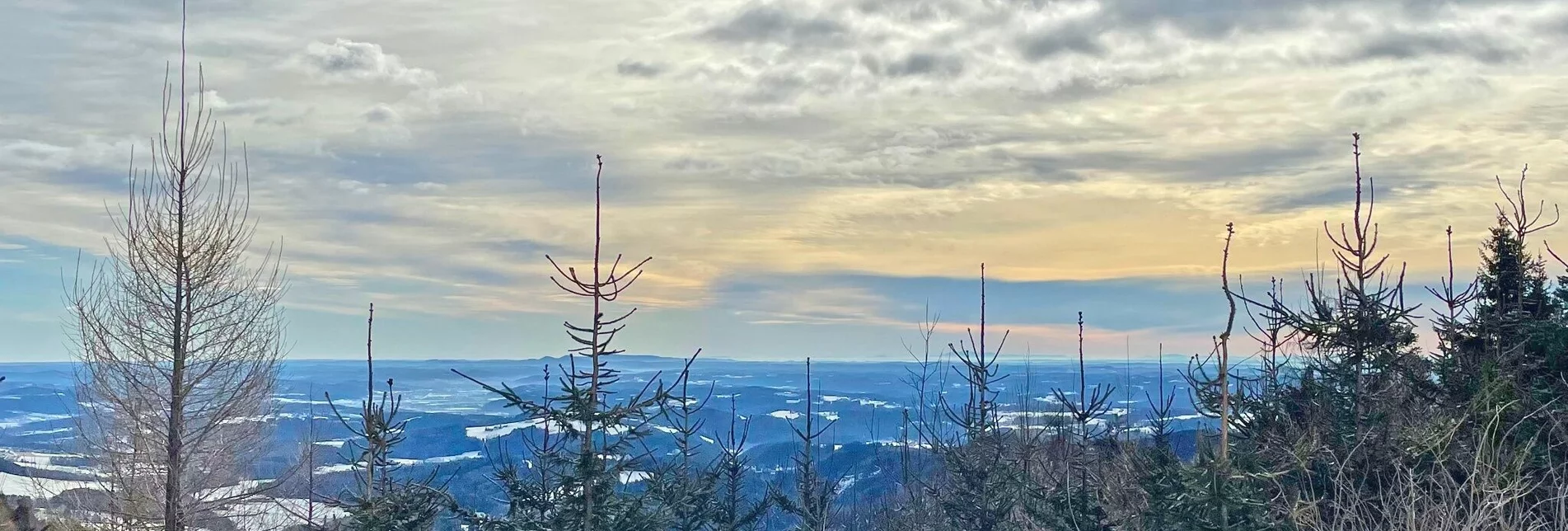 View towards Weiz from the Saddle Mountains | © Oststeiermark Tourismus