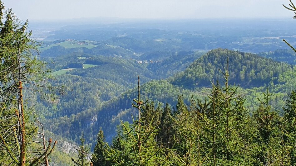 Hiking Route Saddle Mountains Tour from the Gösser to the Wolf Saddle - Touren-Impression #2.2 | © Oststeiermark Tourismus