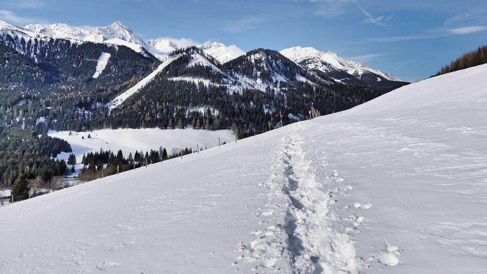 Snowshoe Walking Hohentauern circular hike - marked snowshoe trail - Touren-Impression #2.1 | © Weges OG