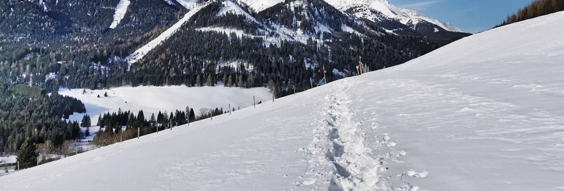 Schneeschuh Rundwanderung Hohentauern - markierter Schneeschuh-Trail - Touren-Impression #1 | © Weges OG