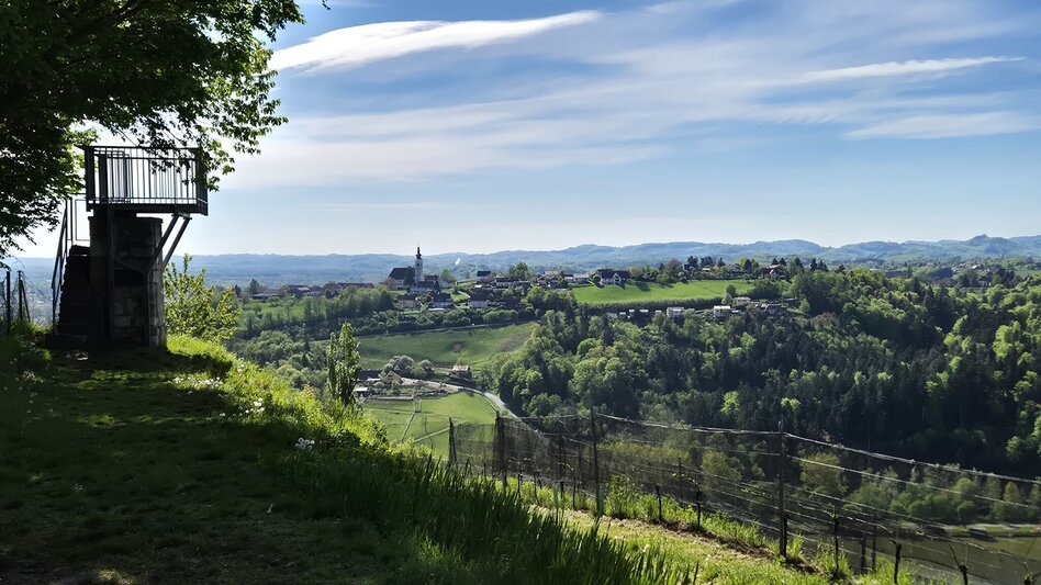 Wanderung Steirischer Obst- und Weinlehrpfad Silberberg - Touren-Impression #2.1