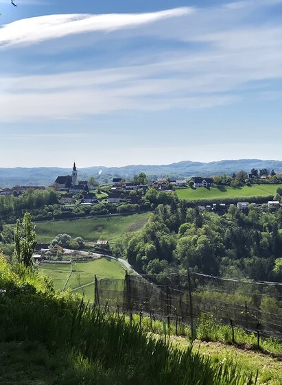 Warte Silberberg und Kirche Frauenberg | Erlebnisregion Südsteiermark - Alpenverein