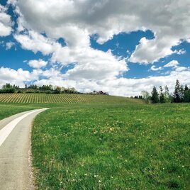 panoramatour (wies) - ein perfekter dreiklang_img_48456727 | © Schilcherland Steiermark