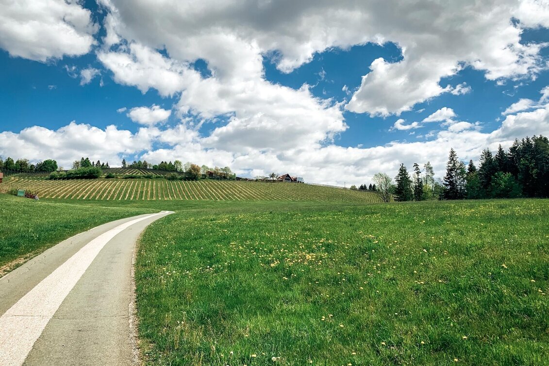 Mountainbike Panoramatour (Wies), Nr. 202 - Touren-Impression #1 | © Schilcherland Steiermark