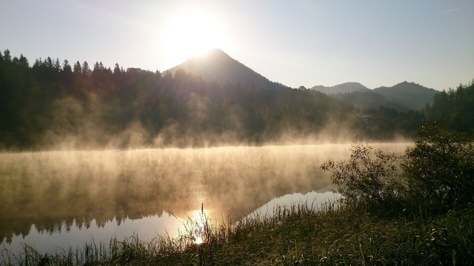 Wanderung Sagenwanderweg Nr. 1 - Touren-Impression #2.6 | © TV Hochsteiermark