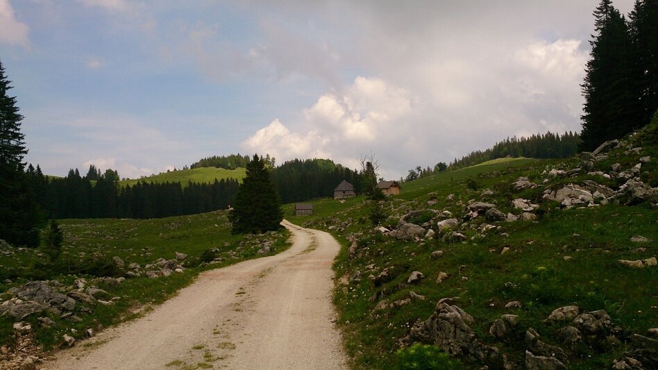 Wanderung Feldwiesalm und Eiserner Herrgott ab Taschelbach - Touren-Impression #2.1 | © TV Hochsteiermark