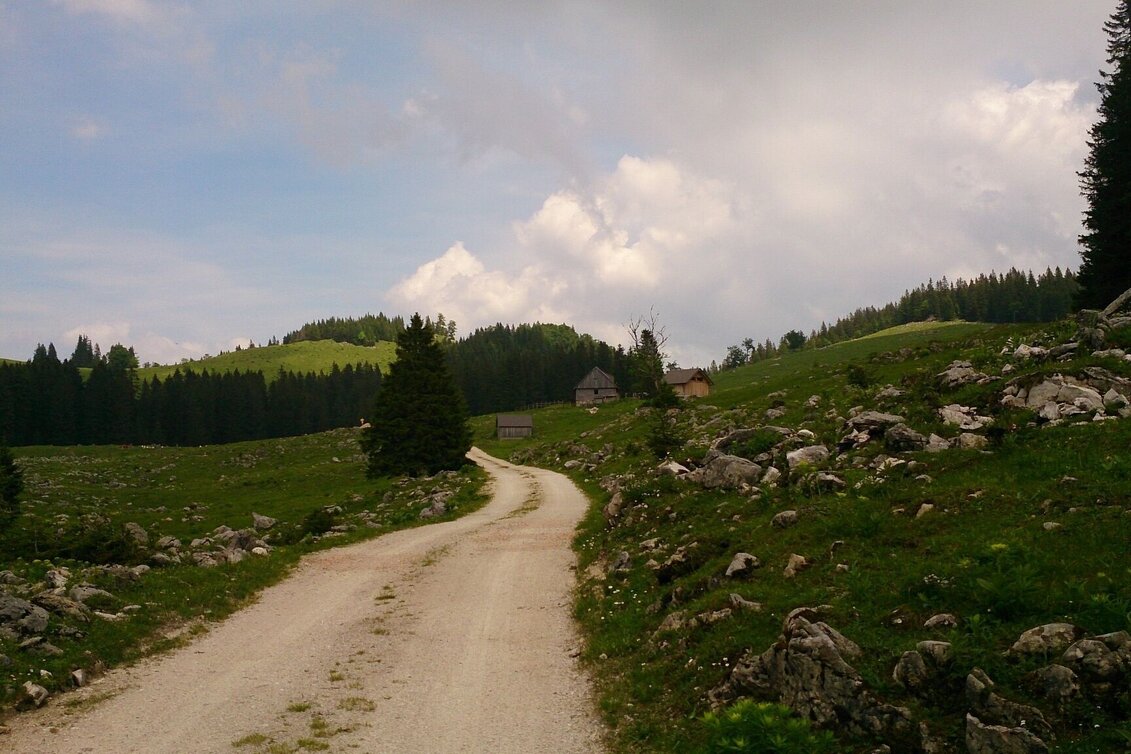 Wanderung Feldwiesalm und Eiserner Herrgott ab Taschelbach - Touren-Impression #1 | © TV Hochsteiermark