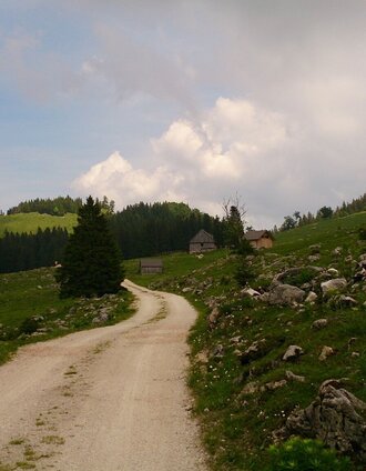 Feldwiesalm | Brigitte Digruber | © TV Hochsteiermark