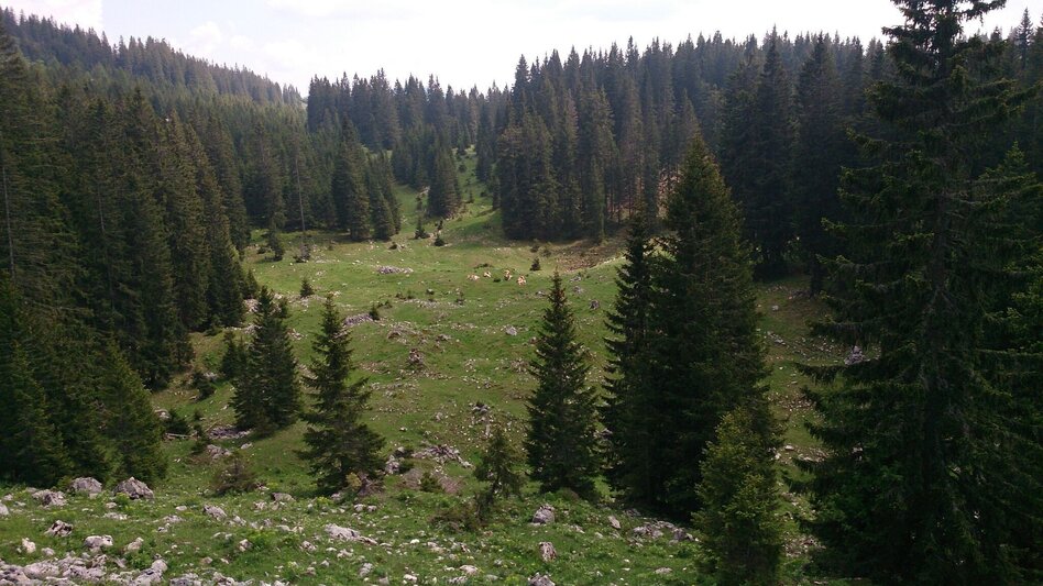 Wanderung Feldwiesalm und Eiserner Herrgott ab Taschelbach - Touren-Impression #2.4 | © TV Hochsteiermark