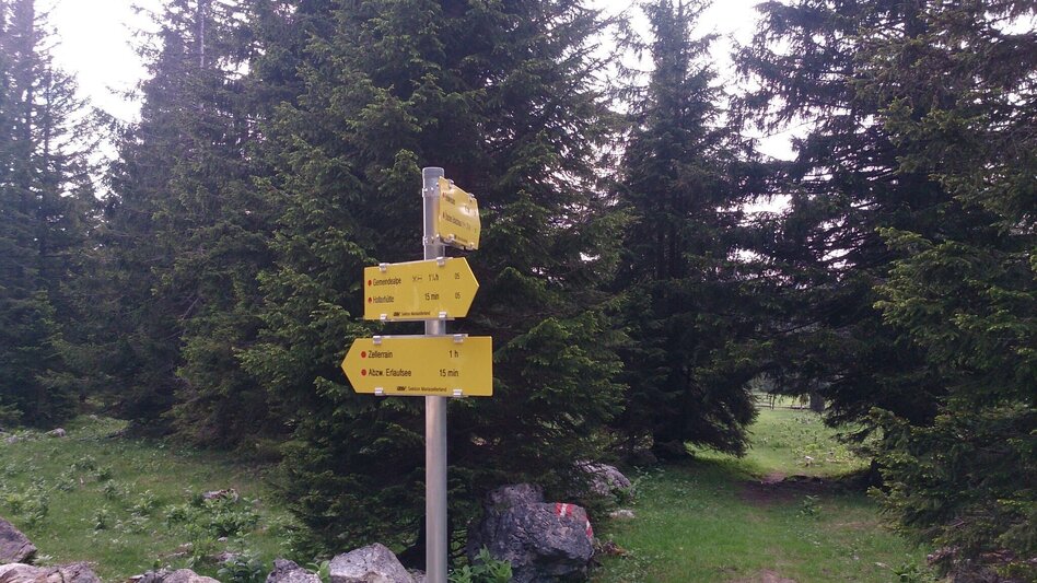 Wanderung Feldwiesalm und Eiserner Herrgott ab Taschelbach - Touren-Impression #2.5 | © TV Hochsteiermark