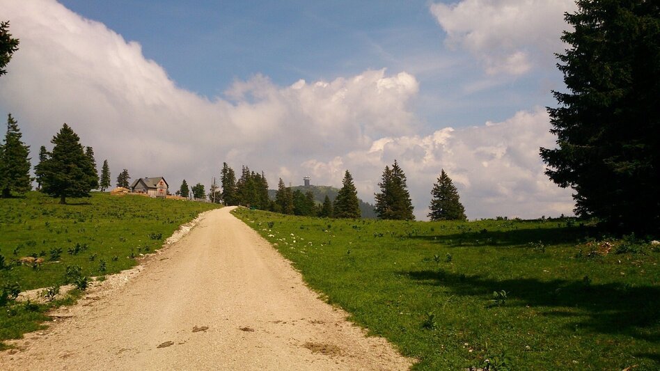 Wanderung Feldwiesalm und Eiserner Herrgott ab Taschelbach - Touren-Impression #2.6 | © TV Hochsteiermark