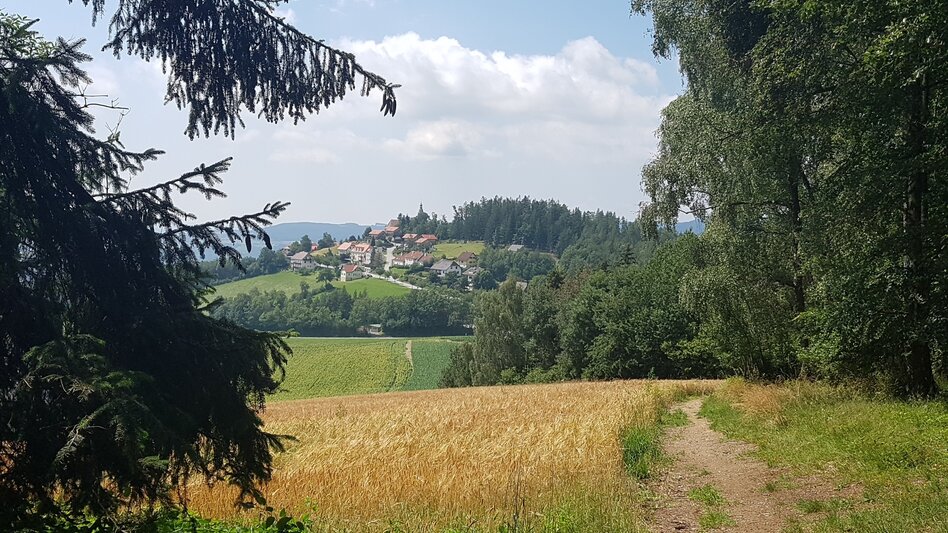 Wanderung Masenberg-Runde über Lüßwaldsattel, Pöllauberg - Touren-Impression #2.3 | © Oststeiermark Tourismus