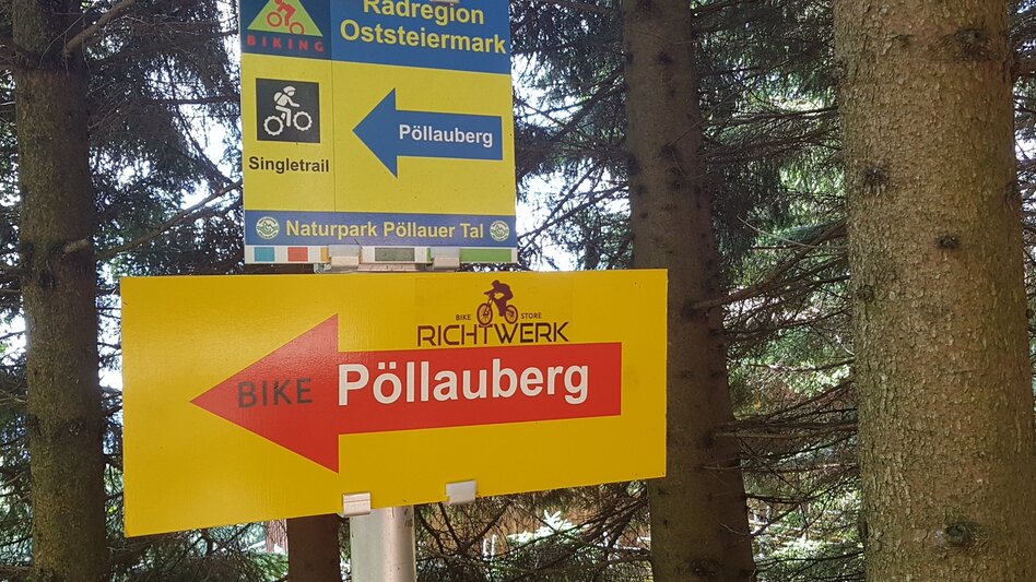 Wanderung Masenberg-Runde über Lüßwaldsattel, Pöllauberg - Touren-Impression #2.9 | © Oststeiermark Tourismus