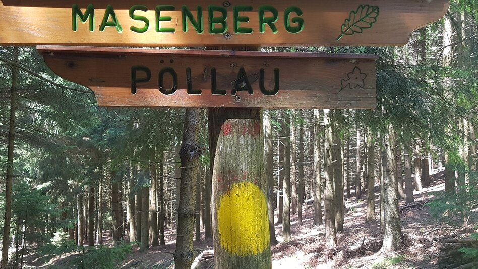 Wanderung Masenberg-Runde über Lüßwaldsattel, Pöllauberg - Touren-Impression #2.10 | © Oststeiermark Tourismus