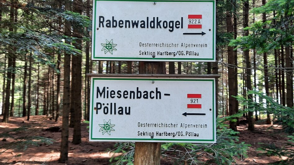Wanderung Rabenwaldkogel, Pöllau - Touren-Impression #2.2 | © Oststeiermark Tourismus
