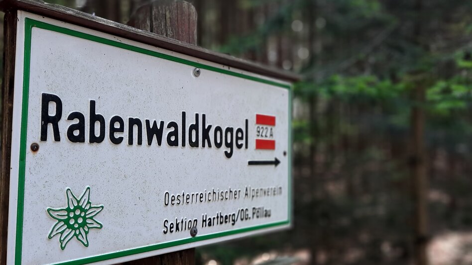 Wanderung Rabenwaldkogel, Pöllau - Touren-Impression #2.3 | © Oststeiermark Tourismus