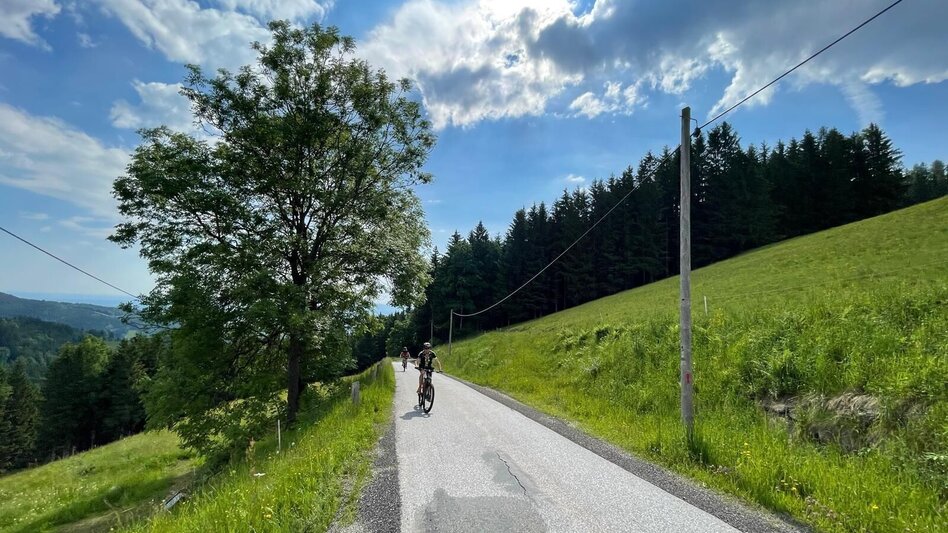 Mountainbike Brendlalm (Eibiswald), Nr. 108 - Touren-Impression #2.5 | © Südsteiermark