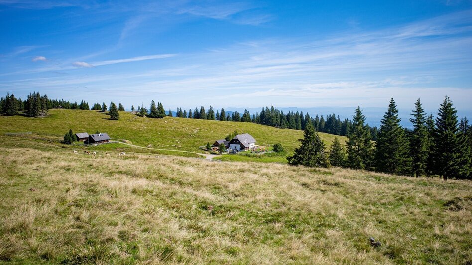 Mountainbike Brendlalm (Eibiswald), Nr. 108 - Touren-Impression #2.6 | © Südsteiermark