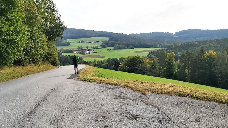 Wanderung Wanderung zur Ringwarte, Pöllauberg - Touren-Impression #2.4 | © Oststeiermark Tourismus
