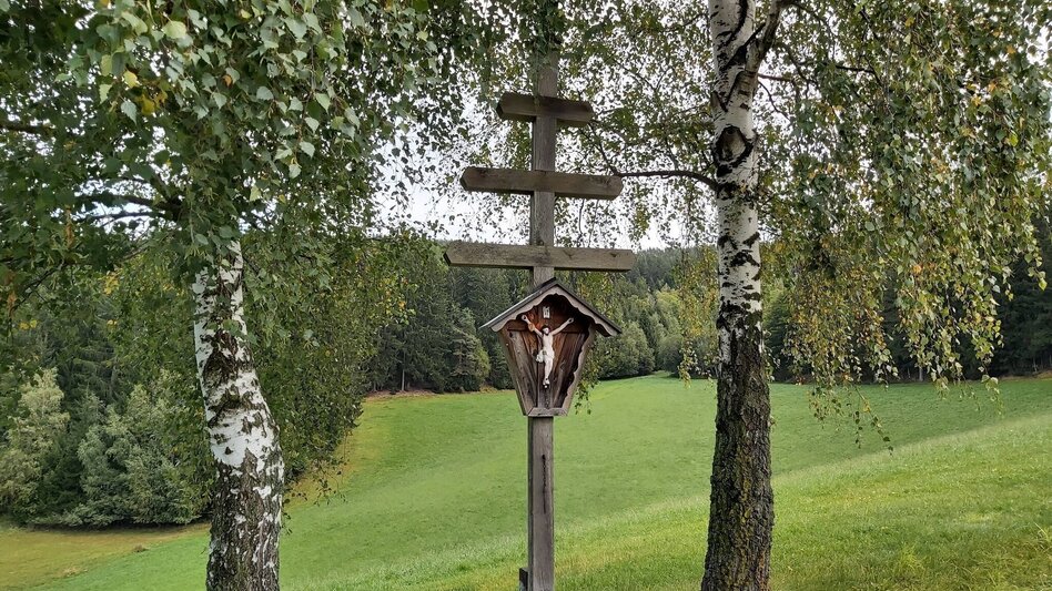 Wanderung Wanderung zur Ringwarte, Pöllauberg - Touren-Impression #2.8 | © Oststeiermark Tourismus