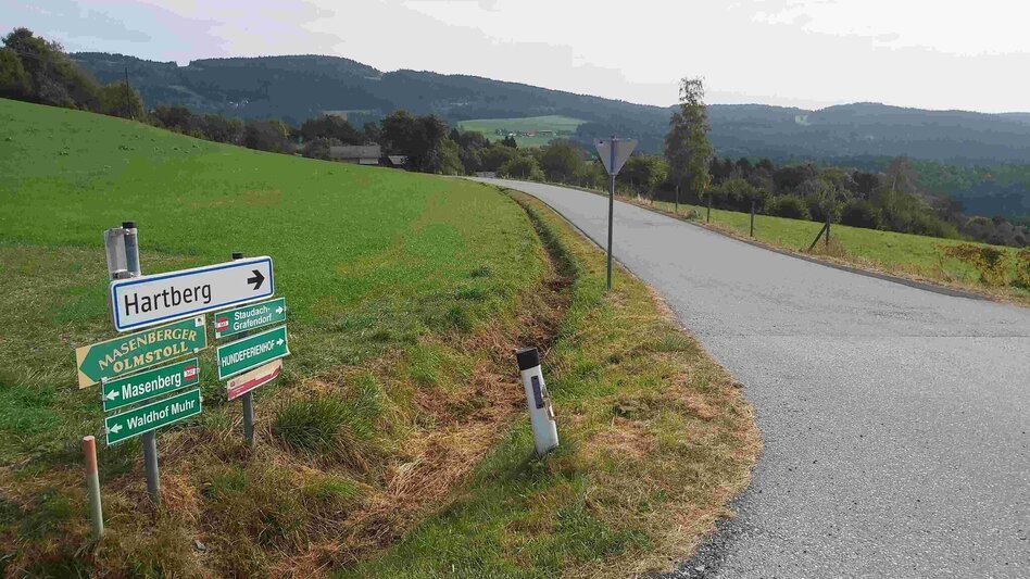 Wanderung Wanderung zur Ringwarte, Pöllauberg - Touren-Impression #2.3 | © Oststeiermark Tourismus