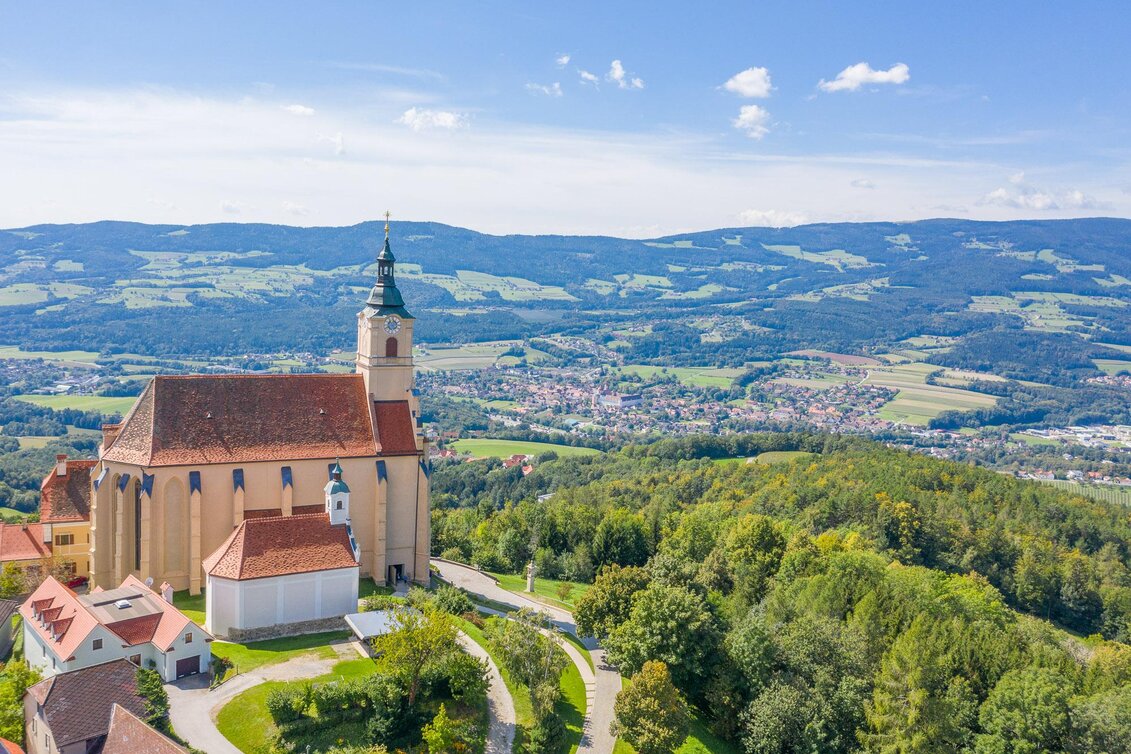 Wanderung Wanderung zur Ringwarte, Pöllauberg - Touren-Impression #1 | © Helmut Schweighofer