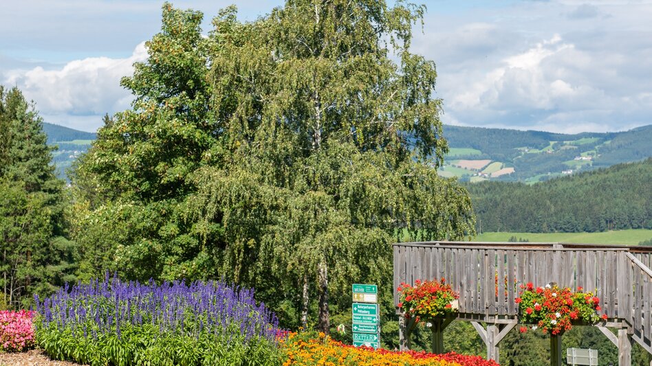 Wanderung Wanderung zur Ringwarte, Pöllauberg - Touren-Impression #2.2 | © Oststeiermark Tourismus