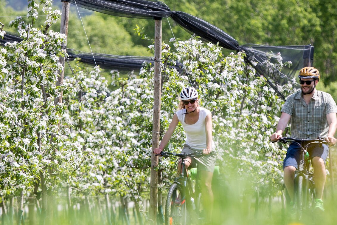Cycling Spring bike tour in ApfelLand , Puch bei Weiz - Touren-Impression #1 | © Steiermark Tourismus