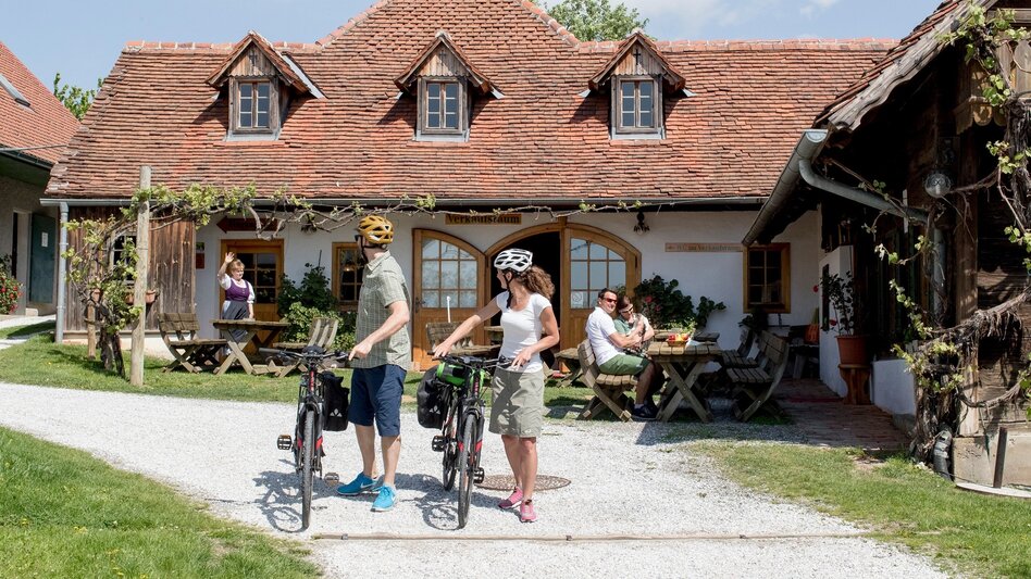 Cycling Spring bike tour in ApfelLand , Puch bei Weiz - Touren-Impression #2.4 | © Steiermark Tourismus