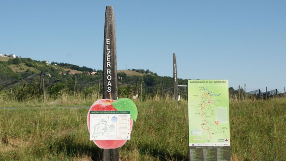Cycling Herbst- Radtour im ApfelLand- Elzer Runde - Touren-Impression #2.2 | © Oststeiermark Tourismus
