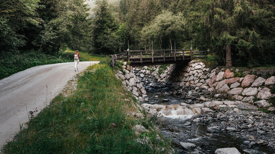 Hiking Route Dorfrunde Donnersbachwald - Touren-Impression #2.6 | © Christoph Lukas