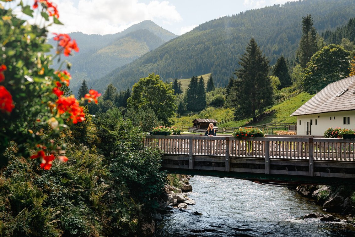 Hiking Route Dorfrunde Donnersbachwald - Touren-Impression #1 | © Christoph Lukas
