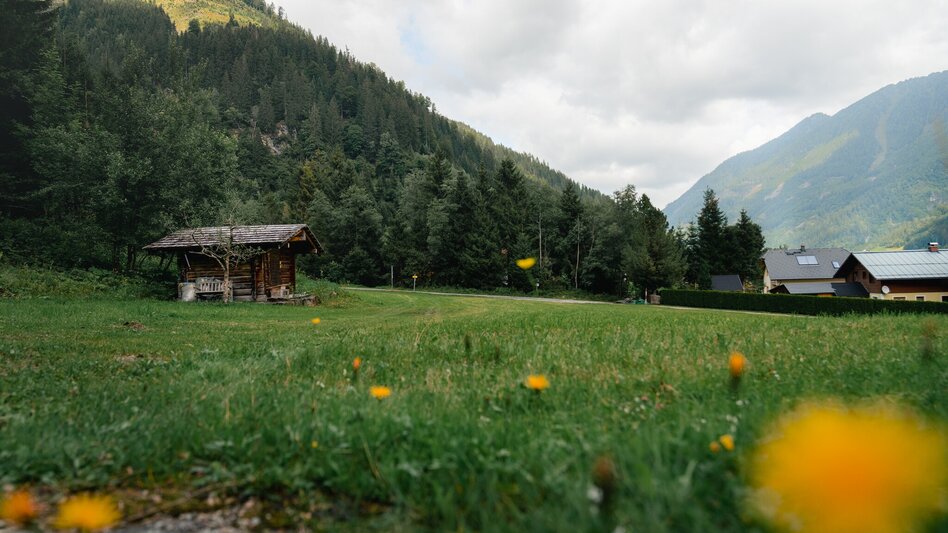 Hiking Route Dorfrunde Donnersbachwald - Touren-Impression #2.3 | © Christoph Lukas