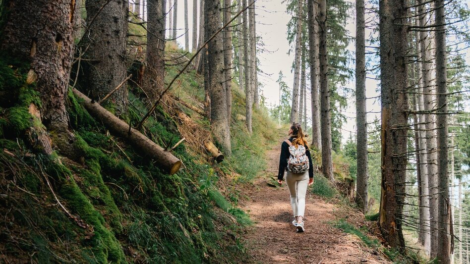 Hiking Route Dorfrunde Donnersbachwald - Touren-Impression #2.4 | © Christoph Lukas