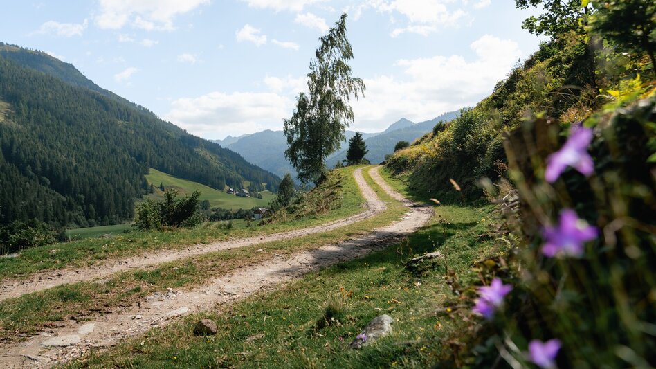 Hiking Route Dorfrunde Donnersbachwald - Touren-Impression #2.14 | © Christoph Lukas