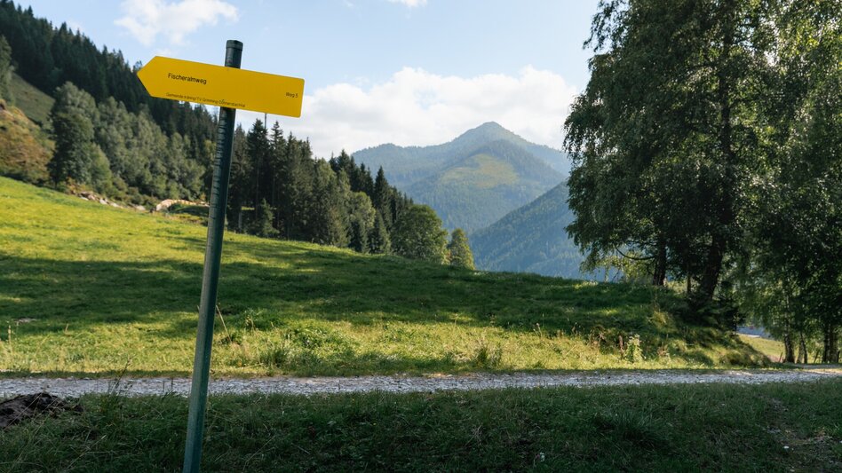 Hiking Route Dorfrunde Donnersbachwald - Touren-Impression #2.18 | © Christoph Lukas