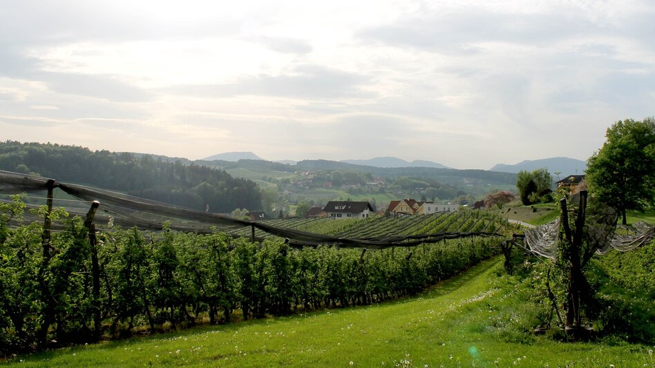 Hiking Route Apple circuit Etzersdorf – Rollsdorf - Touren-Impression #2.1 | © Oststeiermark Tourismus