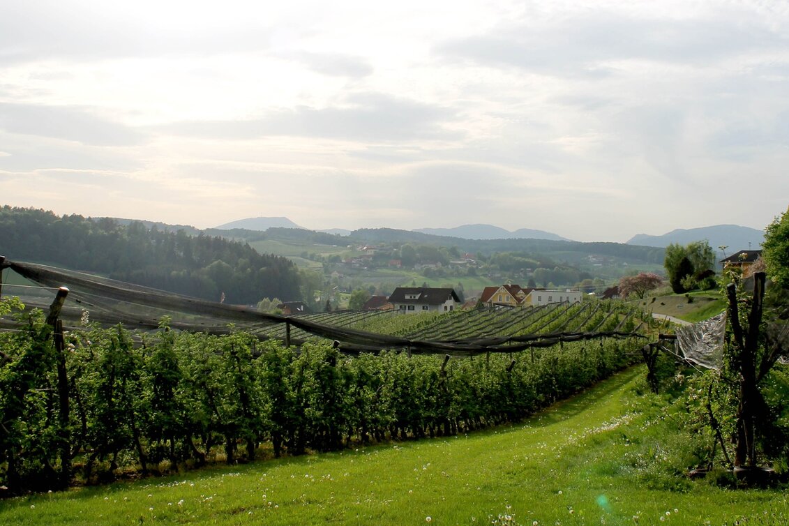 Hiking Route Apple circuit Etzersdorf – Rollsdorf - Touren-Impression #1 | © Oststeiermark Tourismus