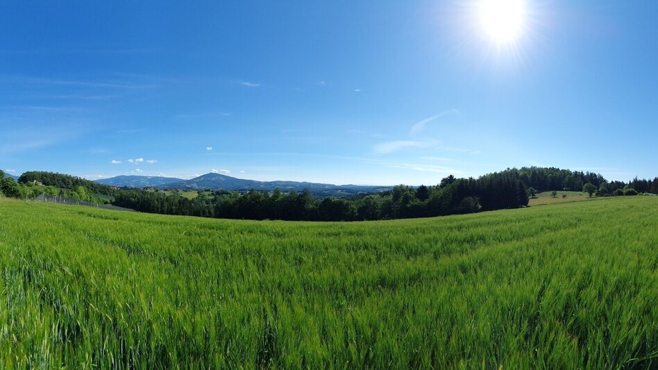Hiking Route Apple circuit Etzersdorf – Rollsdorf - Touren-Impression #2.6 | © Oststeiermark Tourismus