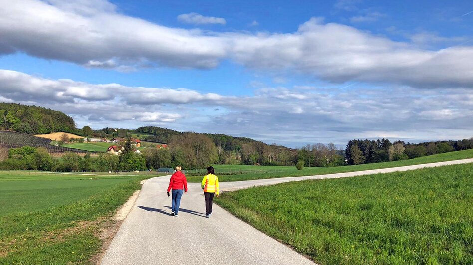Hiking Route Apple circuit Etzersdorf – Rollsdorf - Touren-Impression #2.12 | © Oststeiermark Tourismus