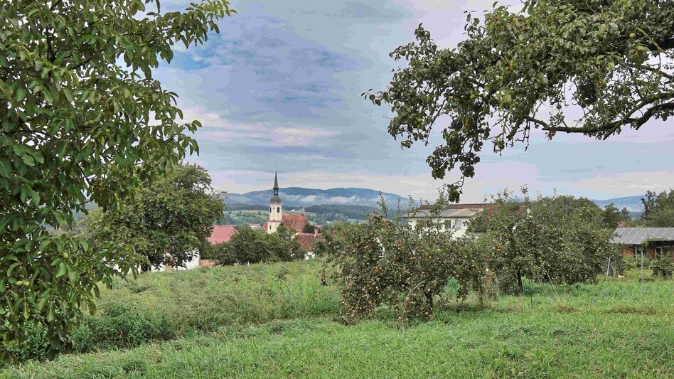 Hiking Route Legendary trail, Kaindorf - Touren-Impression #2.1 | © Oststeiermark Tourismus