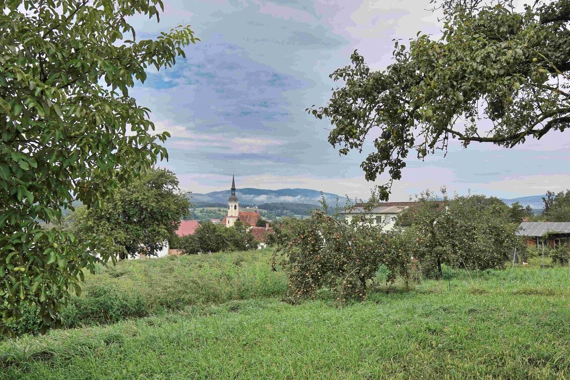 Hiking Route Legendary trail, Kaindorf - Touren-Impression #1 | © Oststeiermark Tourismus