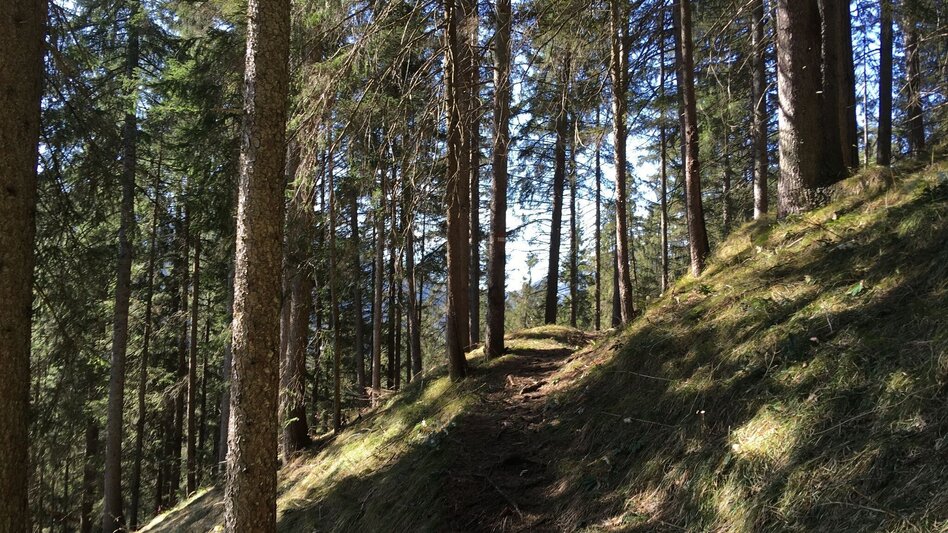Wanderung Kraftplatz Spielmäuer - Touren-Impression #2.3 | © TV Hochsteiermark