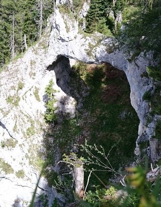 Die Teufelsbrücke von oben | Brigitte Digruber | © TV Hochsteiermark