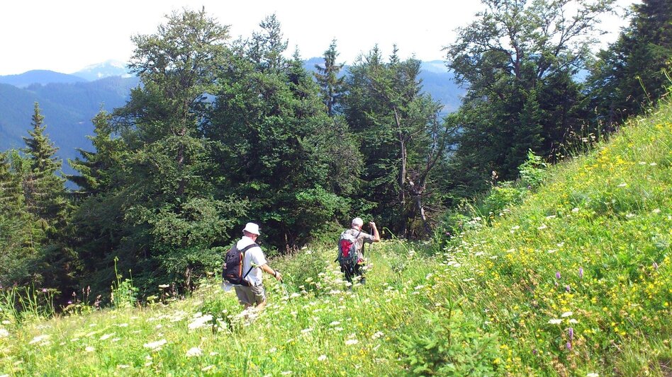 Wanderung Wanderung auf die Graualm - Touren-Impression #2.2 | © TV Hochsteiermark