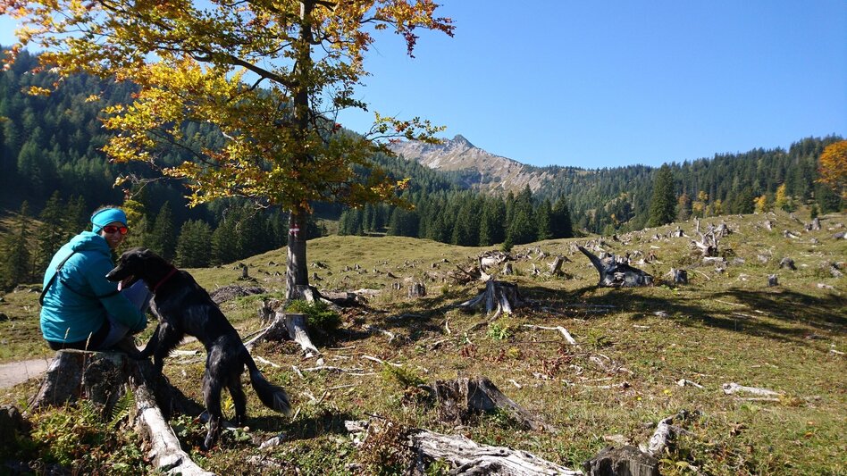Wanderung Über die Kräuterinalm auf den Hochstadl - Touren-Impression #2.1 | © TV Hochsteiermark