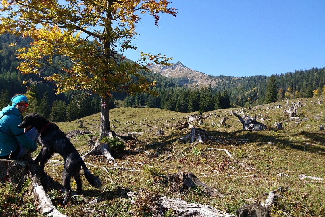 Wanderung Über die Kräuterinalm auf den Hochstadl - Touren-Impression #1 | © TV Hochsteiermark